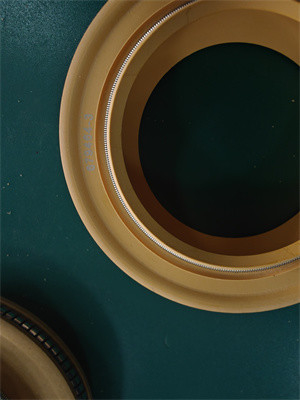 Joint à lèvre en polyimide, joint à lèvre en PTFE, joint à ressort pour joint d'huile en caoutchouc de pompe centrifuge à haute efficacité