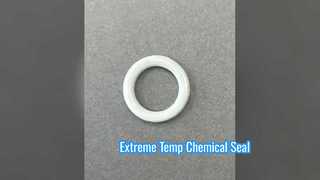 Joint chimique haute température FKM PTFE O Ring
