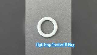 Joint chimique haute température FKM PTFE O Ring